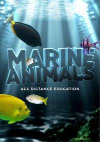 Marine Animals - PDF ebook